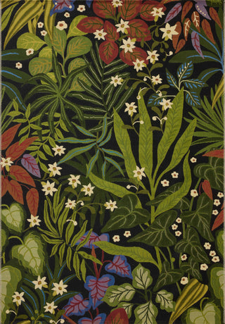 The Rug Corner Loloi II Botanical Onyx / Multi  