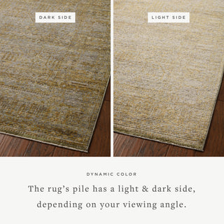Jean Stoffer - Bradbury Dove / Gold Area Rug