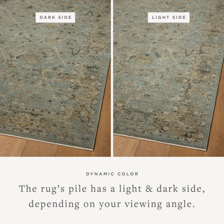 The Rug Corner Loloi Briar Aqua / Olive  