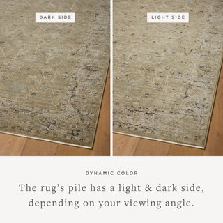 The Rug Corner Loloi Briar Olive / Stone  
