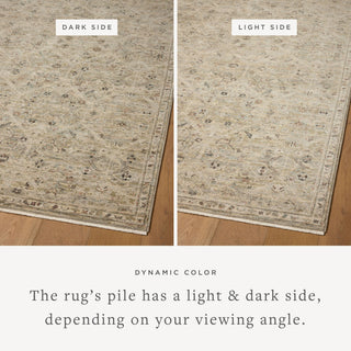 The Rug Corner Loloi Briar Silver / Moss  
