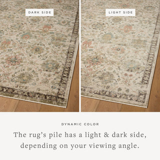 The Rug Corner Loloi Briar Ivory / Multi  