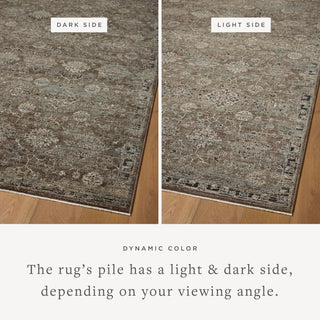 The Rug Corner Loloi Briar Bark / Lagoon  