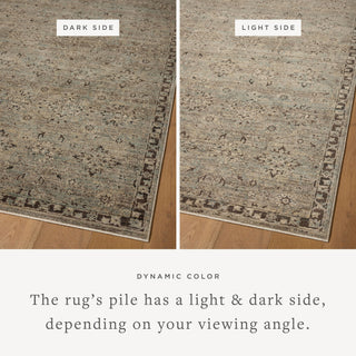 The Rug Corner Loloi Briar Mist / Granite  