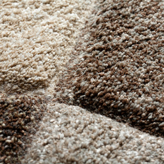 The Rug Corner Dalyn Carmona CO1 Fudge  Carmona CO1 Fudge