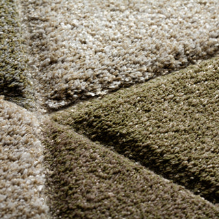 The Rug Corner Dalyn Carmona CO4 Cactus  