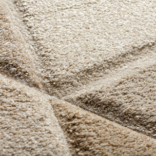 The Rug Corner Dalyn Carmona CO4 Linen  Carmona CO4 Linen
