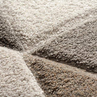 The Rug Corner Dalyn Carmona CO4 Pewter  