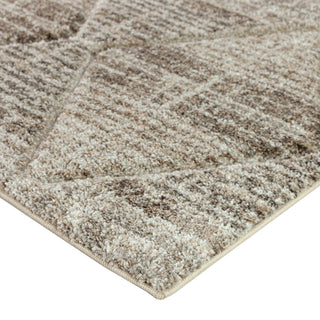 The Rug Corner Dalyn Carmona CO8 Driftwood  Carmona CO8 Driftwood