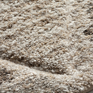 The Rug Corner Dalyn Carmona CO8 Driftwood  Carmona CO8 Driftwood