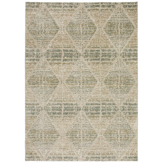 The Rug Corner Dalyn Carmona CO8 Mist  Carmona CO8 Mist