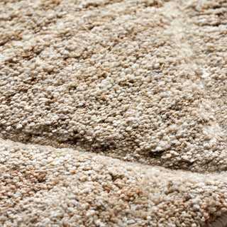 The Rug Corner Dalyn Carmona CO8 Parchment  Carmona CO8 Parchment