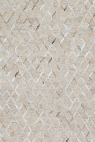 The Rug Corner Loloi Dorado Grey / Sand  