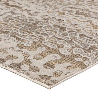 The Rug Corner Dalyn Denizi DZ6 Mocha  Denizi DZ6 Mocha