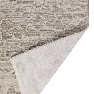 The Rug Corner Dalyn Denizi DZ6 Silver  Denizi DZ6 Silver