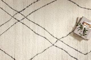 The Rug Corner Loloi II Fabian Ivory / Charcoal  