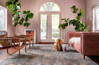 The Rug Corner Loloi Giada Grey / Multi  