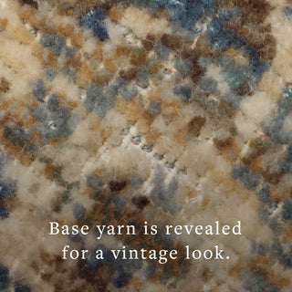 The Rug Corner Loloi Heritage Spa / Earth  