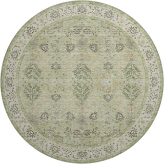 The Rug Corner Dalyn Hatay HY9 Aloe  Hatay HY9 Aloe