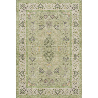 The Rug Corner Dalyn Hatay HY9 Aloe  Hatay HY9 Aloe
