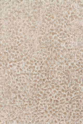 The Rug Corner Loloi Juneau Ash / Taupe  