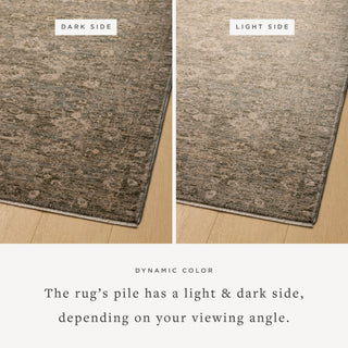 The Rug Corner Magnolia Home by Joanna Gaines x Loloi Junie Lagoon / Natural  