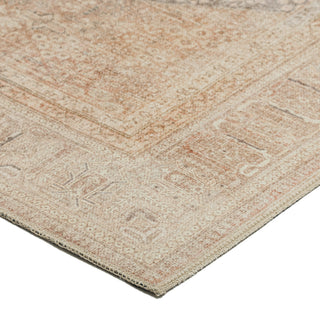 The Rug Corner Dalyn Kars KA11 Biscotti  Kars KA11 Biscotti