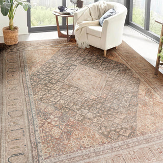 lifestyle The Rug Corner Dalyn Kars KA11 Biscotti  Kars KA11 Biscotti