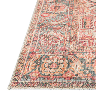 The Rug Corner Dalyn Kars KA5 Spice  Kars KA5 Spice