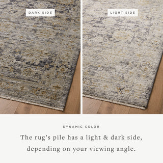 The Rug Corner Jean Stoffer x Loloi Katherine Charcoal / Gold  