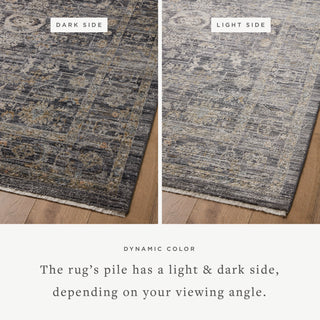 The Rug Corner Jean Stoffer x Loloi Jean Stoffer - Katherine Midnight  / Tobacco Area Rug  