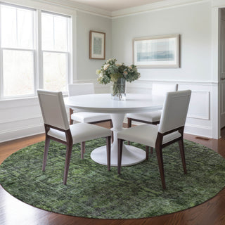 lifestyle The Rug Corner Dalyn Karaj KJ3 Cactus  Karaj KJ3 Cactus