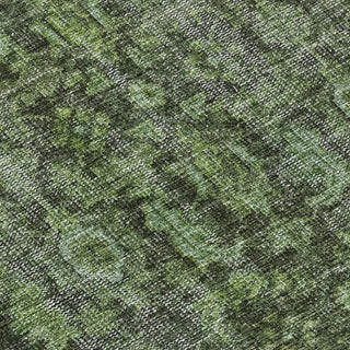 The Rug Corner Dalyn Karaj KJ3 Cactus  Karaj KJ3 Cactus