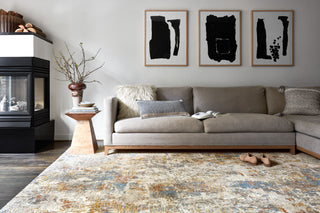 The Rug Corner Loloi Landscape Multi  