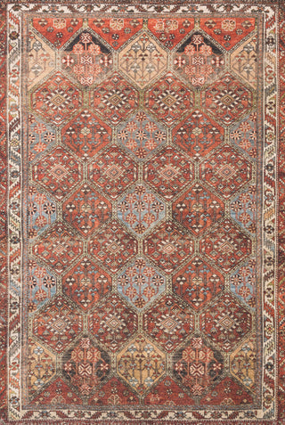 The Rug Corner Loloi II Loren Spice / Multi  