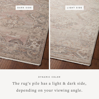 The Rug Corner Loloi Lyra Blush / Dove  