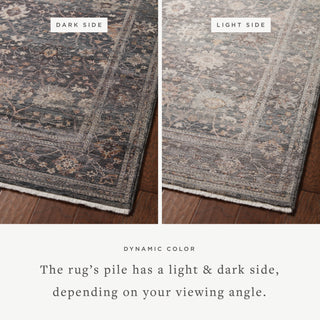 The Rug Corner Loloi Lyra Ink / Multi  