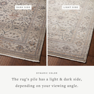 The Rug Corner Loloi Lyra Pebble / Multi  