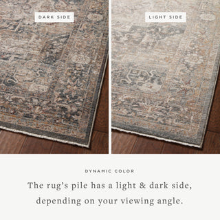 The Rug Corner Loloi Lyra Denim / Sand  
