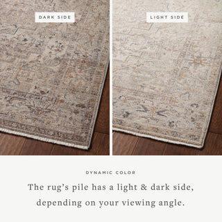 The Rug Corner Loloi Lyra Natural / Gold  
