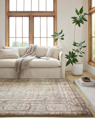 The Rug Corner Loloi II Margot Antique / Sage  