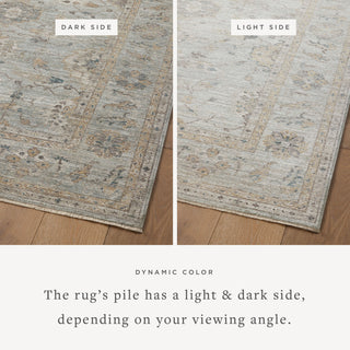 The Rug Corner Magnolia Home by Joanna Gaines x Loloi Millie Sky / Gold  