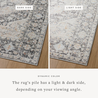 The Rug Corner Loloi II Monroe Charcoal / Multi  