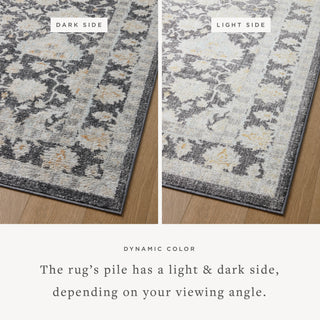 The Rug Corner Loloi II Monroe Charcoal / Natural  