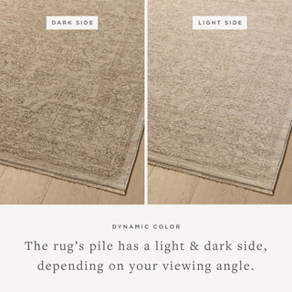 The Rug Corner Loloi II Newman Taupe / Bone  