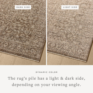 Newman Dark Taupe / Natural