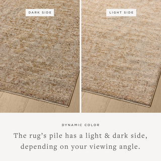 The Rug Corner Loloi II Newman Wheat / Natural  