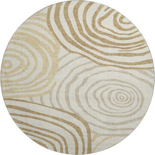 The Rug Corner Dalyn Neo NO10 Gold  Neo NO10 Gold