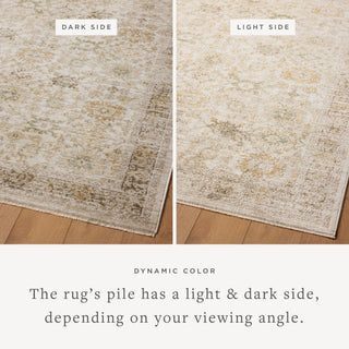 The Rug Corner Magnolia Home by Joanna Gaines x Loloi Pace Natural / Multi  