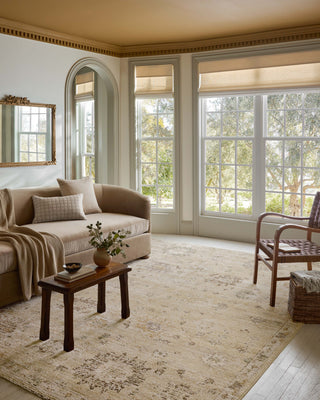 Pace Apricot / Multi